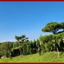 차니네민박 이미지