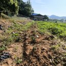 금영농장 이미지