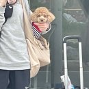 무실하늘약국 | [여행/대구] 쿵!하면 짝! 2박 3일 행볶한 마무리 .•♥