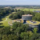 12th forest 이미지