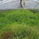 검암리 입구 이미지