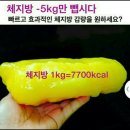 점핑앤힐링 네이버블로그