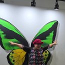 상계역 2번출구 이미지