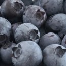 현덕농장 이미지