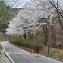 백운산자연휴양림 이미지