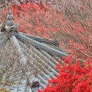 꽃동산분식 이미지