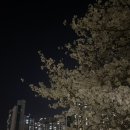 귀한족발발곡역점