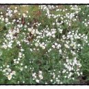 다산행정사사무소 이미지