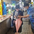 다비치안경인천신기시장