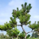 다락골농장 이미지