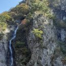 강천산 길 이미지