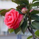 가는곡2 이미지