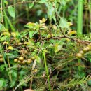 해넘이길 이미지