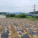 구로-구로-구로-1672 이미지