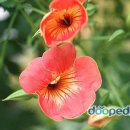 동산자연어린이집 이미지