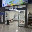 아끼염