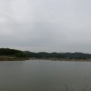 부제리 이미지
