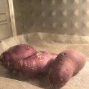 이영농장 이미지