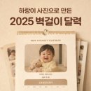 하랑식품 - 61258 | 하랑이 사진으로 만든 벽걸이 달력 | 친정·시댁 새해 선물로 내돈내산 찐 후기!