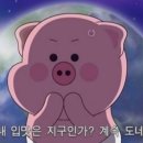 포차 막걸리한잔 이미지