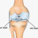 왜관마디척의원 이미지