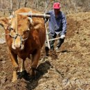 지혜의 소나기 이미지
