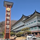 수 사우나 | 태백 호텔 사우나 워터풀 후기 아이들 방학 가성비👍🏻호캉스 즐기기!(이용꿀팁, 가격, 시설정보)