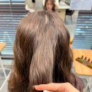 펫실장 광장점 | 구의동미용실 강변역미용실 온도헤어 소유실장님 클리닉 후기