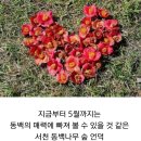 7월 15일 일 -서해의보석 춘장대해변길과홍원항.동백정관광트레킹.왕초보대환영/ 20.000원.조식제공.리무진운행 이미지