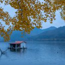 (주)은행나무 이미지