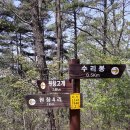 원창4리 이미지