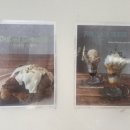 카페오르트(Cafe oort) 이미지