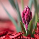 호림농장 이미지