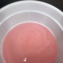 청춘애견 계룡점 이미지