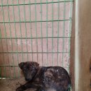 반운리마을회관 이미지