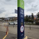 굿리프트 | 서울대공원 봄꽃축제 평일 후기 꿀팁｜공짜로 리프트 패키지 + 벚꽃 보는 꿀코스 + 동물원까지 완벽