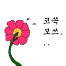 - 스물 여섯하고 열달