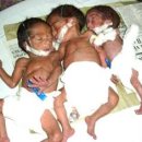 영자농장2 이미지