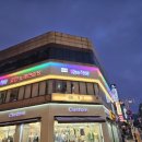 악쓰는 하마 코인노래연습장 이미지