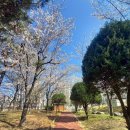 마재근린공원 이미지