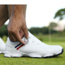 PGA 스크린골프 이미지