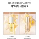 헤라 시그니아 일루미네이팅 세럼 선체험 뉴커머스 방판 후기