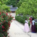 선비촌 이미지