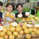화산유통 이미지