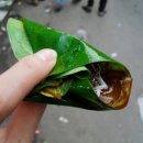 정글맘