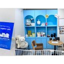 슬기로운 댕댕 유치원 이미지