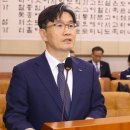 도도독A 이미지