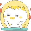 굳잠이불