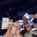 다혜축사 | 여자가 8월에 외출을 한다는 건 너를 정말 사랑한다는 뜻이야