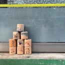 생활속의 인문학 2강(잃어버린 호기심을 찾아서) | [교양 인문학] 경험의 멸종 / 우리가 잃어버린 것들에 대하여 <크리스틴 로젠>